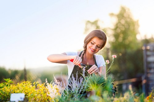 Properly trimmed hedges in a Highbury garden
