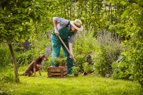 Beautiful Highbury garden with lush green lawn and vibrant flowers