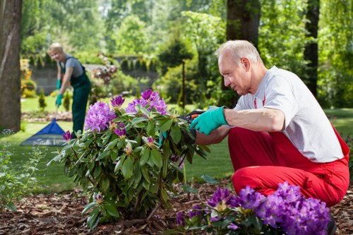Routine garden maintenance with mulching and pruning