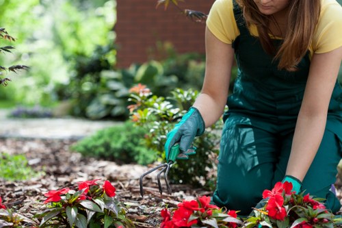 Eco-friendly landscaping features in Highbury estate