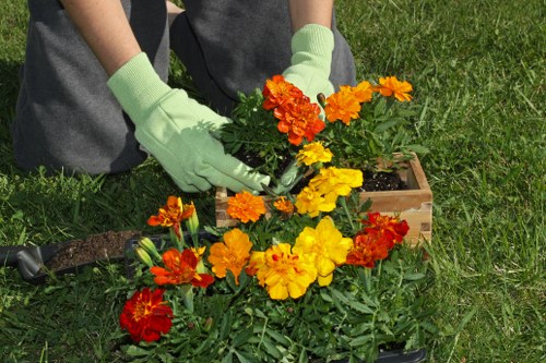 A person wearing light green gardening gloves is planting or tending to a colorful arrangement of vibrant orange, red, and yellow marigolds in a garden bed. The garden features a well-maintained grassy lawn with various other plants and shrubs in the background. The scene is outdoors, likely in a residential garden in Highbury, with natural sunlight illuminating the scene and highlighting the bright flower colors, fresh soil in the flower bed, and a backdrop of lush green foliage. This setting showcases typical elements of outdoor gardening and landscaping, emphasizing the care and maintenance of flower beds as part of professional garden services provided by Hedge Trimming Highbury.