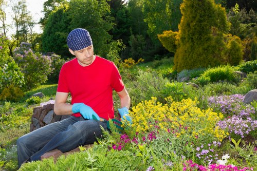 Supervisor inspecting trimmed hedge during investigation