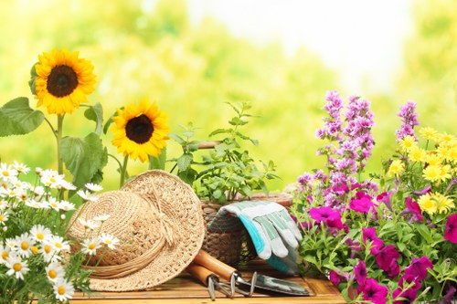 Seasonal garden maintenance in Highbury neighborhood