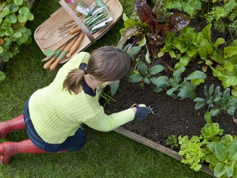 Environmental-friendly hedge care practices