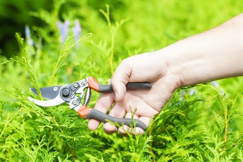 Cost-effective hedge trimming solutions