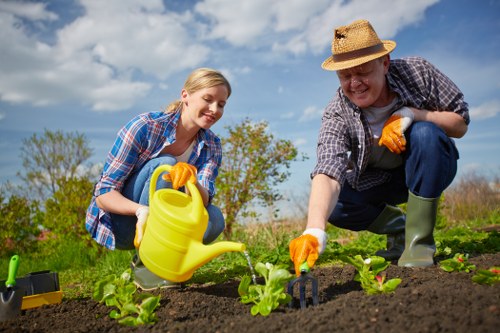 Cost-effective garden maintenance planning for Highbury homeowners