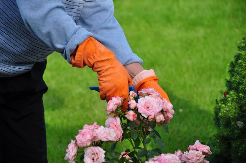Different grass types suitable for Highbury lawns