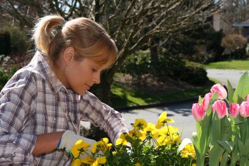 Team managing green waste and protecting wildlife during hedge works