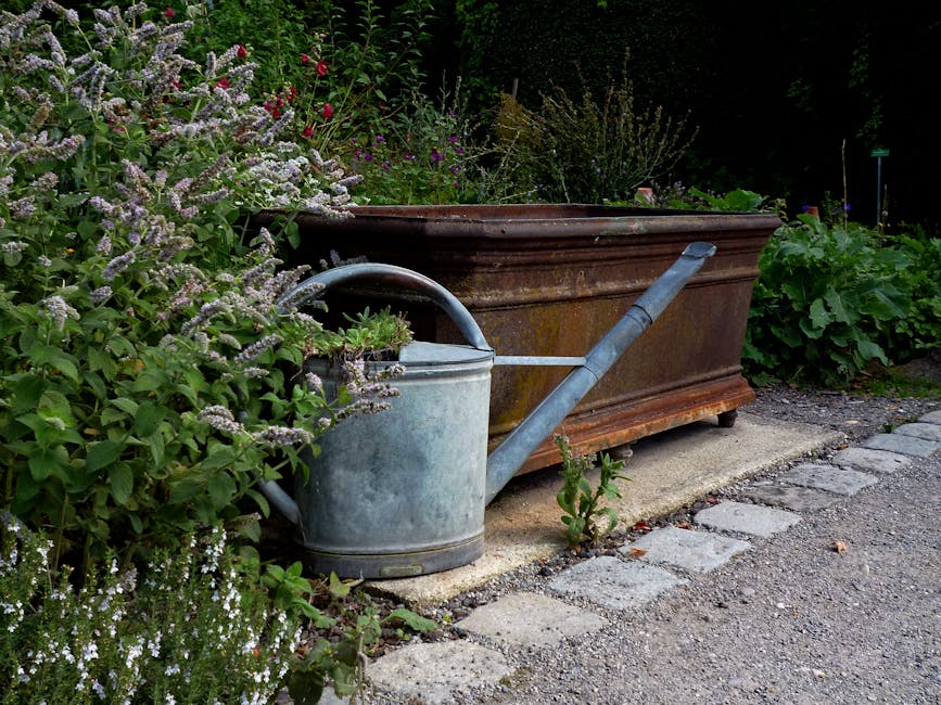 A weathered metal watering can with a rounded body, metal handle, and long spout, placed on a concrete slab next to a large, rusted iron planter box filled with dense, flowering plants and green folia