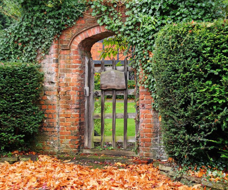 Garden yard